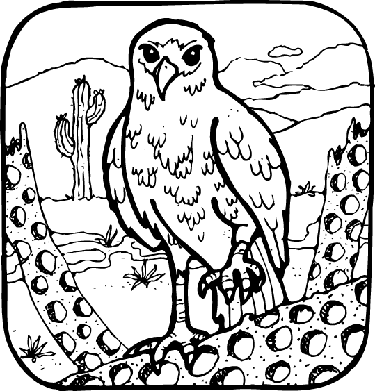 Eagles 1 | Coloring Pages 24