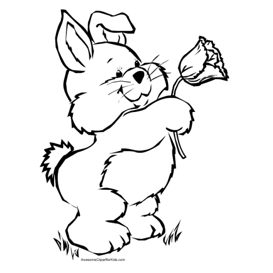 Rabbits 3