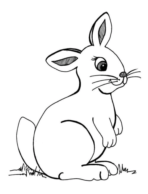 Rabbits 4