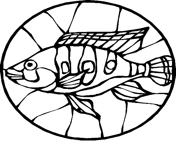 Fishes 77