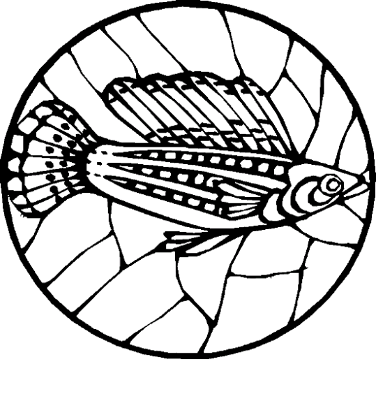 Fishes 82