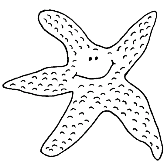 Sea Stars 2