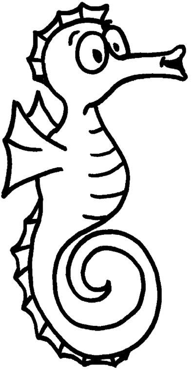 Seahorses 2