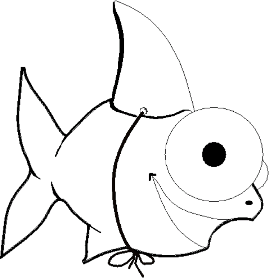 Sharks & Rays 6
