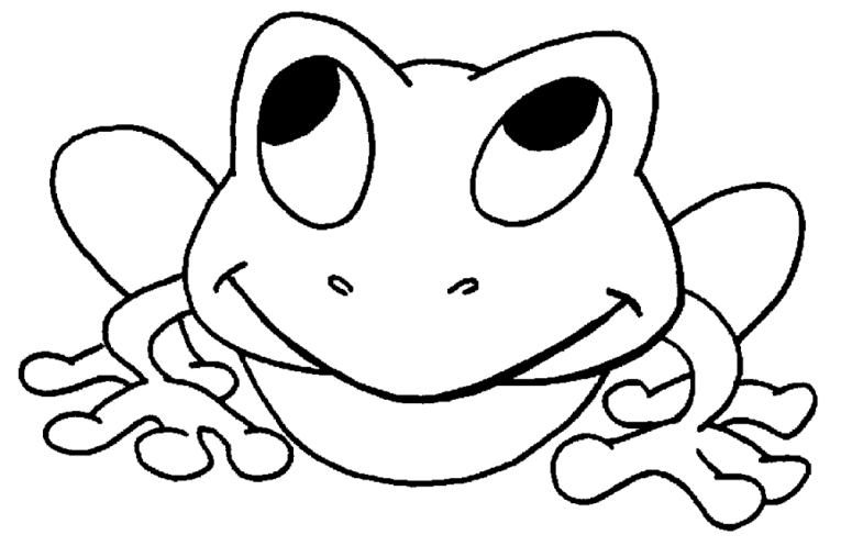 Frogs & Toads 5