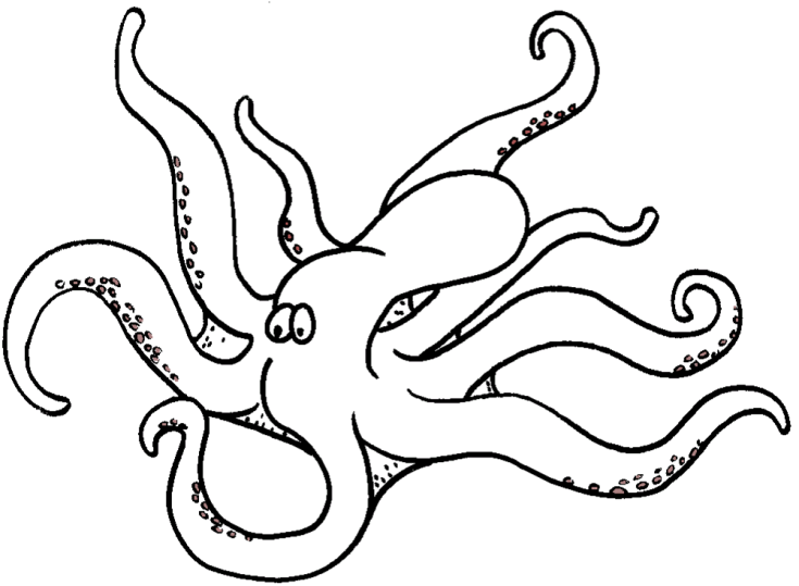 Octopuses 2