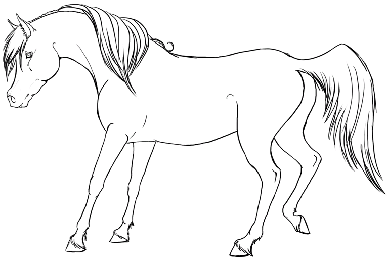 Horses 27