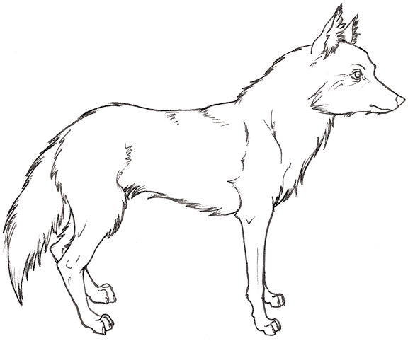 Wolves 3