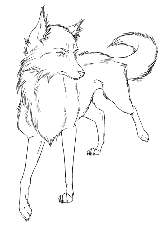Wolves 5
