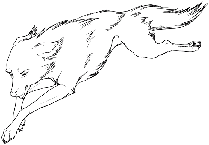 Wolves 7