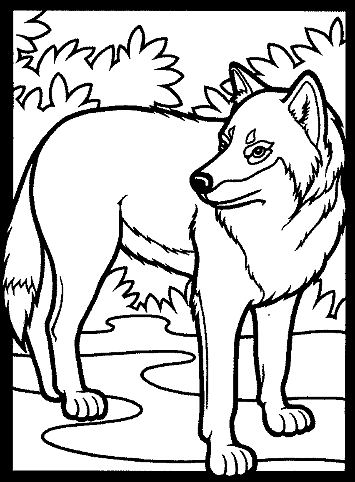 Wolves 9