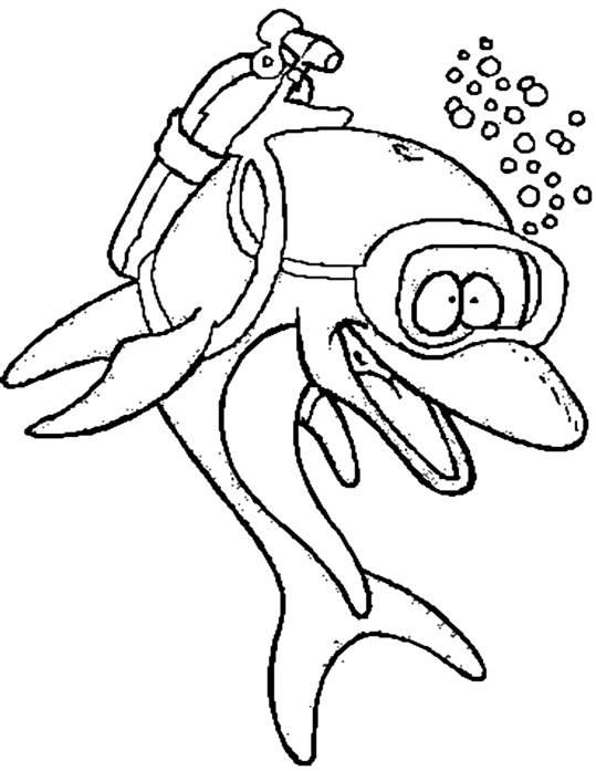 Dolphins 12