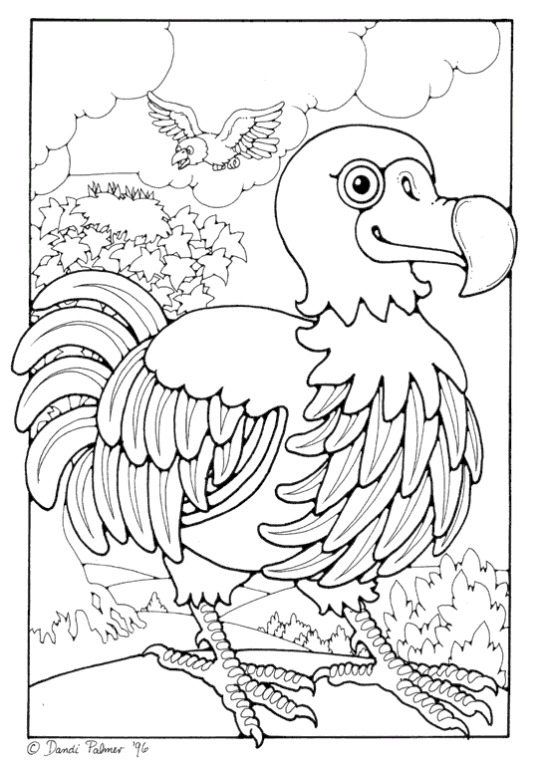 Chickens & Hens 4