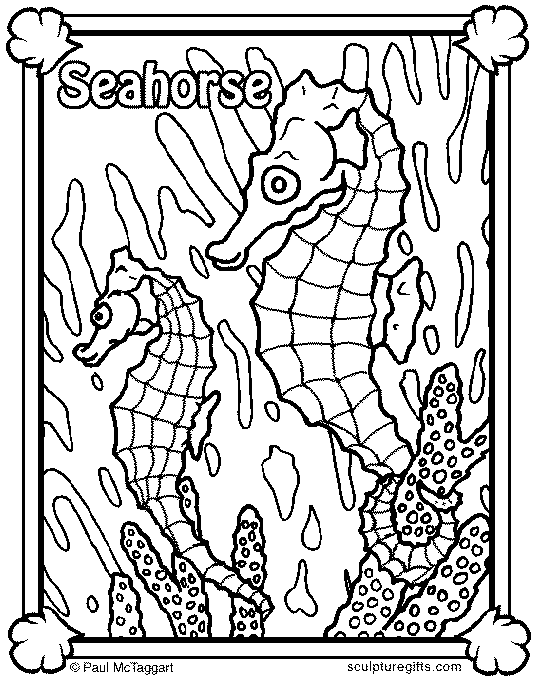 Seahorses 4