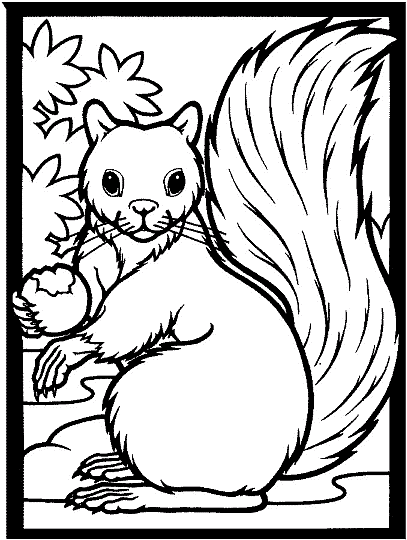Squirrels 5