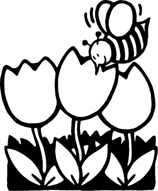 Bees 9
