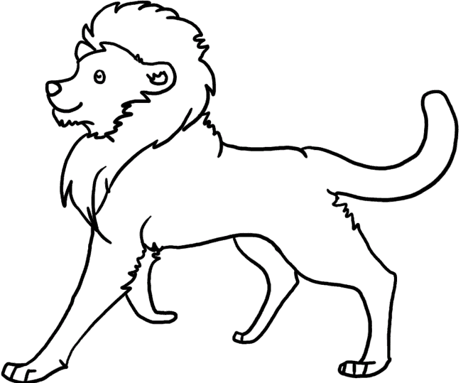 Lions 11