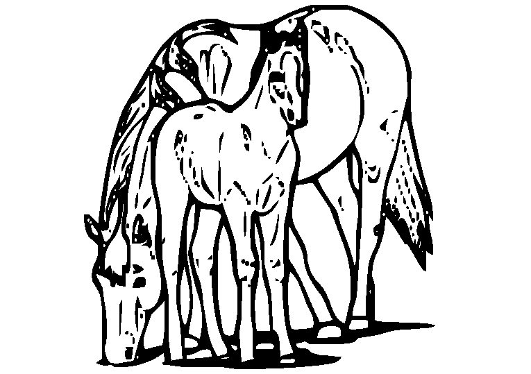 Horses 31