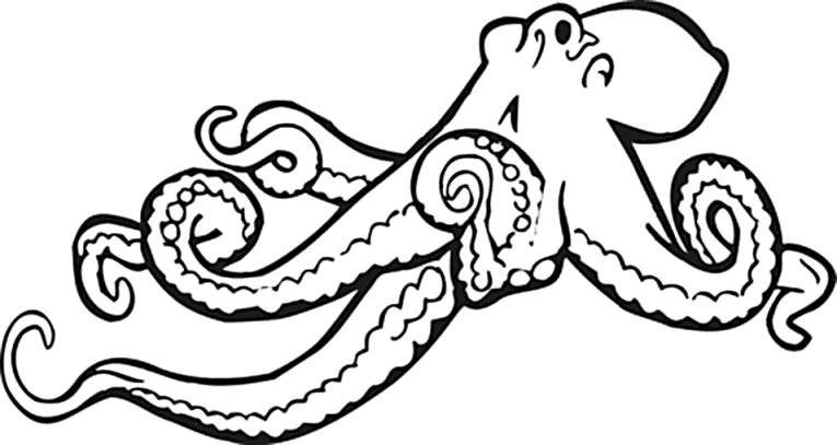 Octopuses 4
