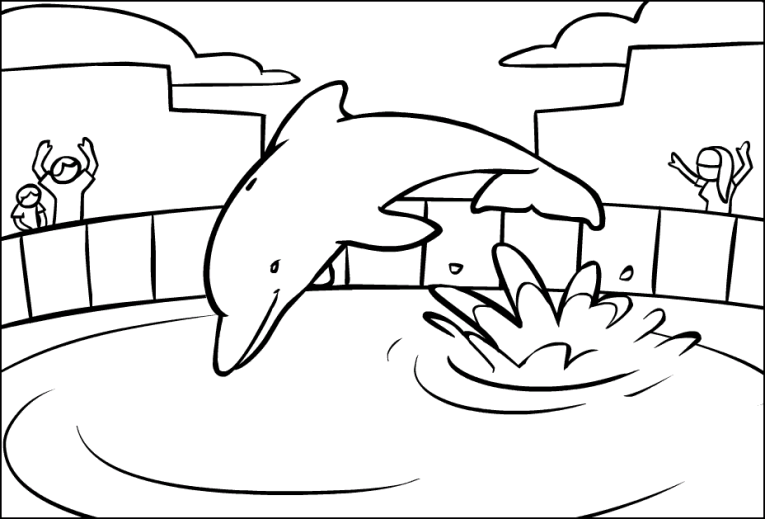 Dolphins 14