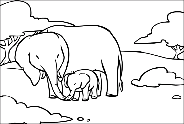 Elephants 10