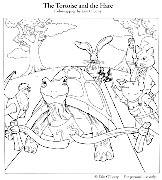 Turtles 6