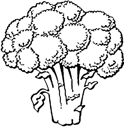 Vegetables 8