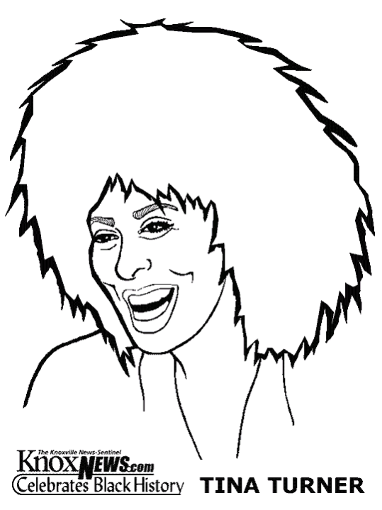 Famous Musicians Tina Turner