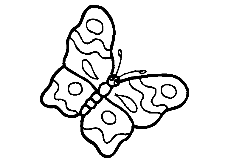 Butterflies 19