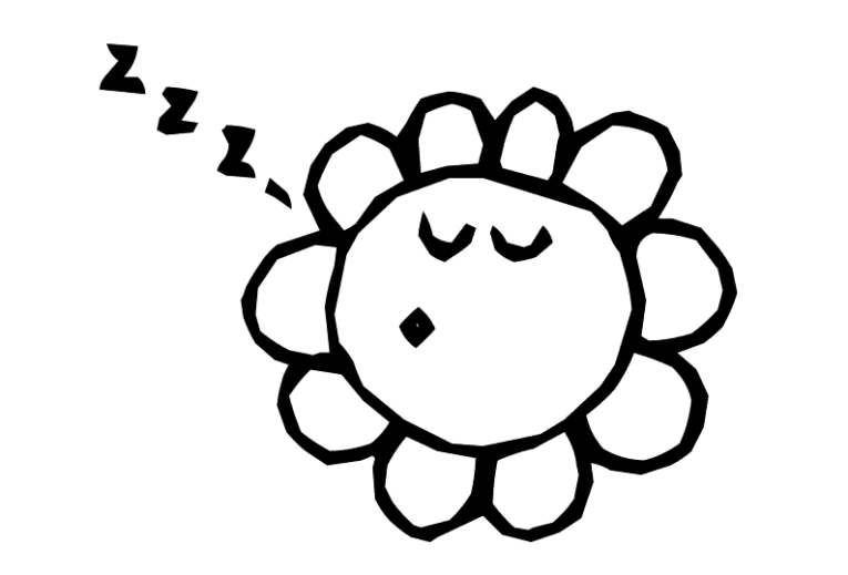 Sun 8