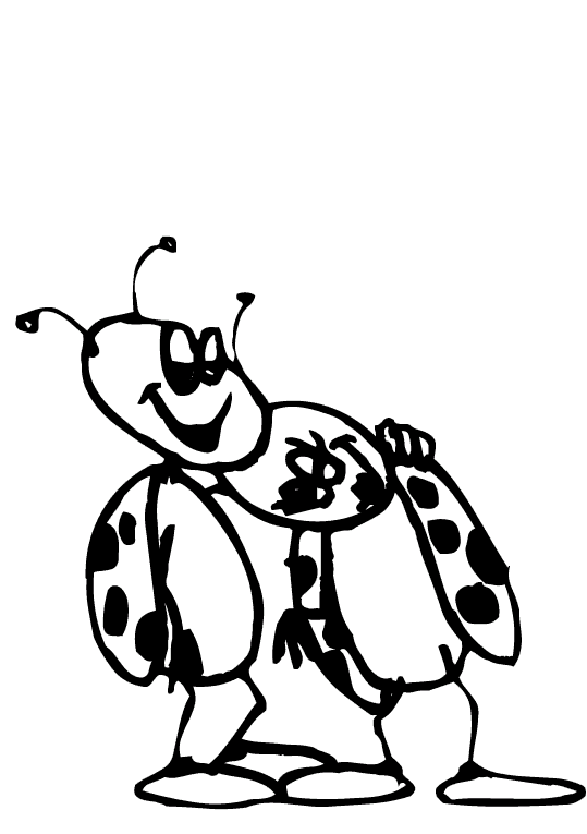 Insects 27