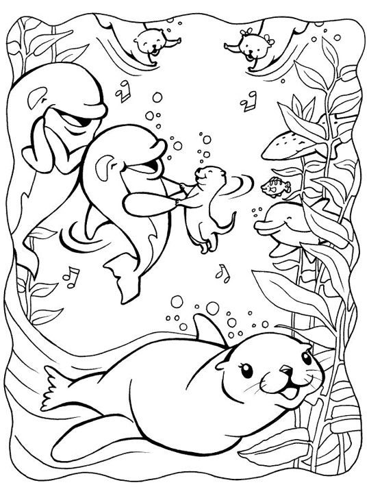 Dolphins 15