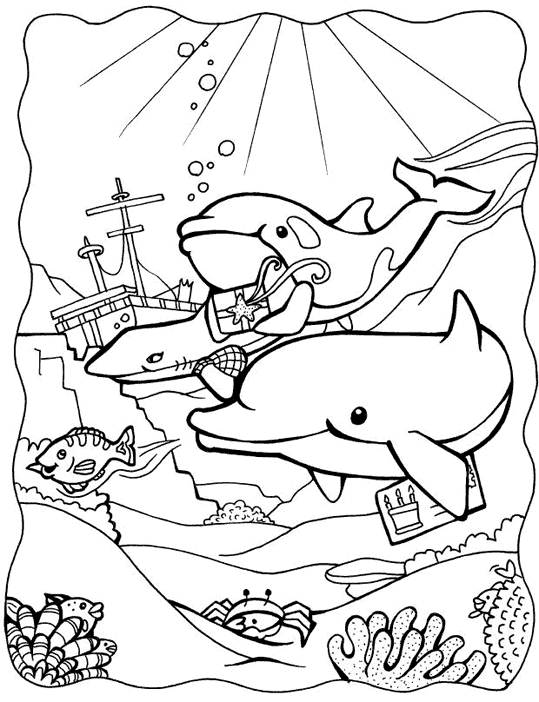Dolphins 17