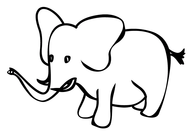 Elephants 11