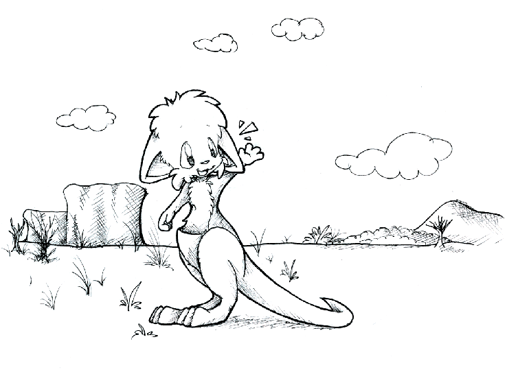 Kangaroos 2