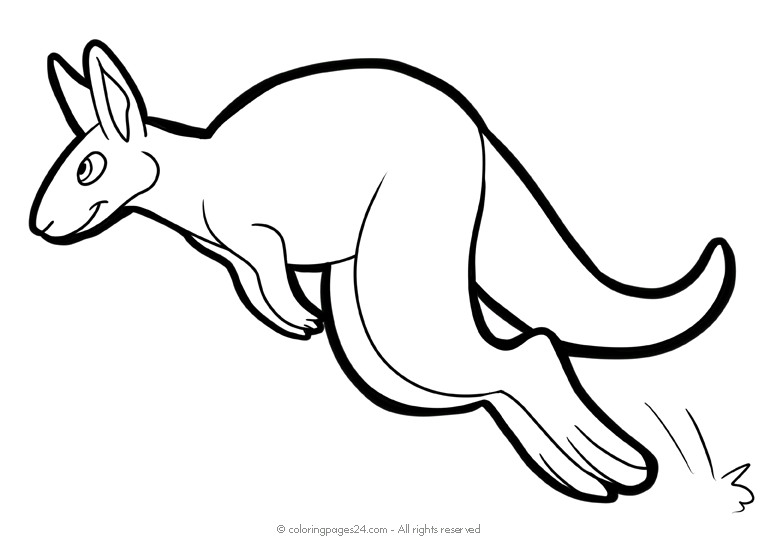 Kangaroos 3