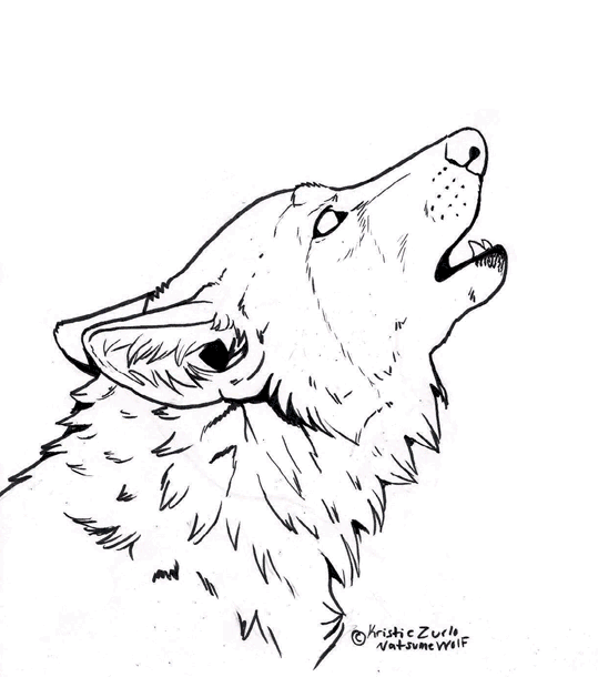 Wolves 15