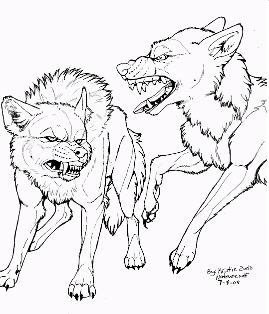 Wolves 17