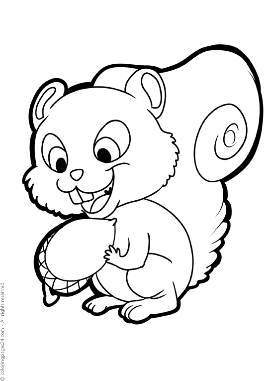 Squirrels 8