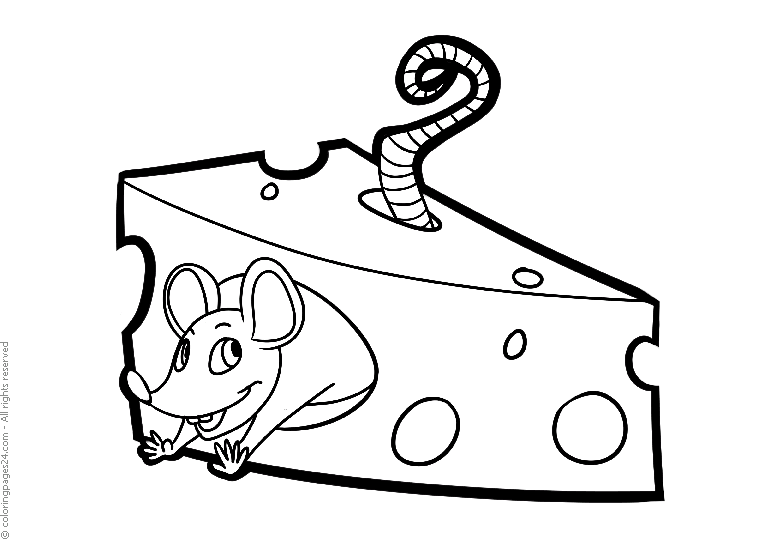 Mice & Rats 9