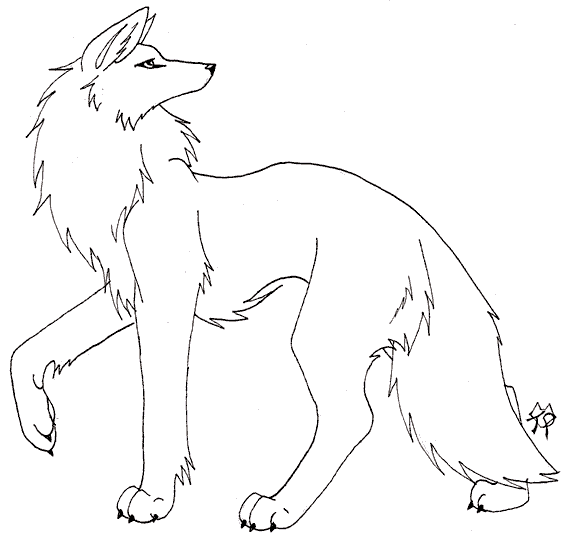 Wolves 22