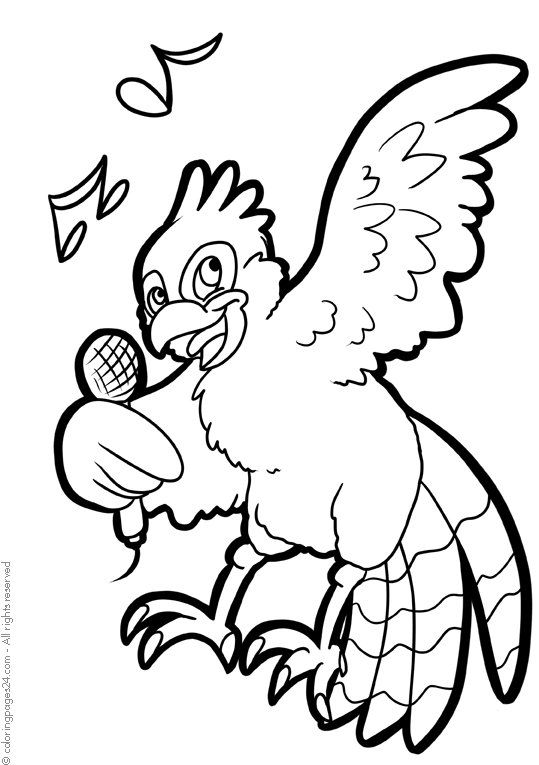 Parrots 4