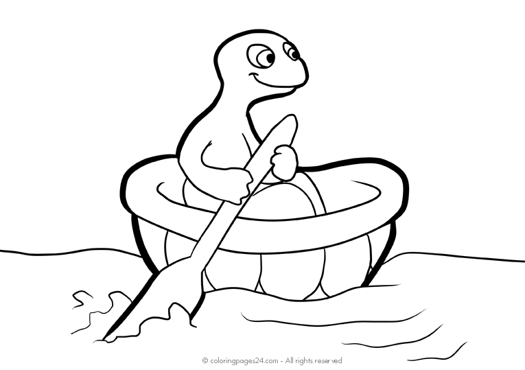 Turtles 8