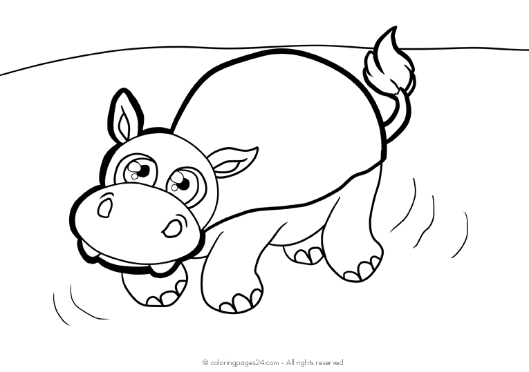 Hippos 6