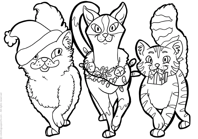 Three cats celebrating Christmas