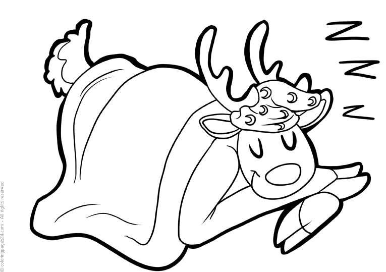 A reindeer lies and sleeps with a blanket over it