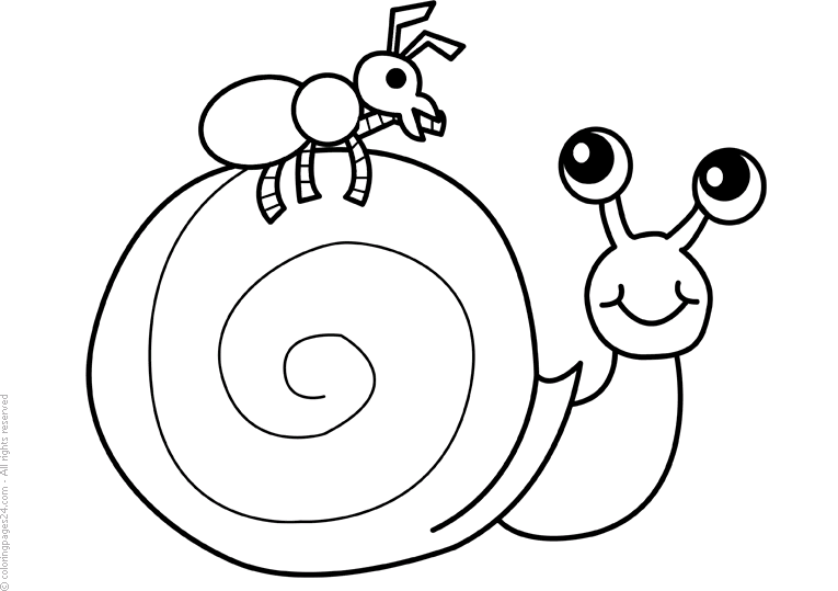 Snails 5