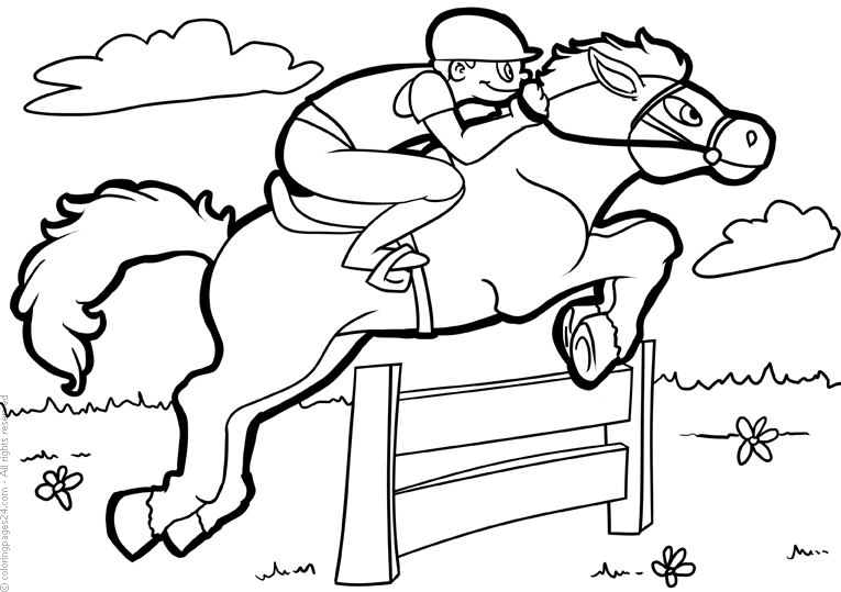 Horse Racing 7