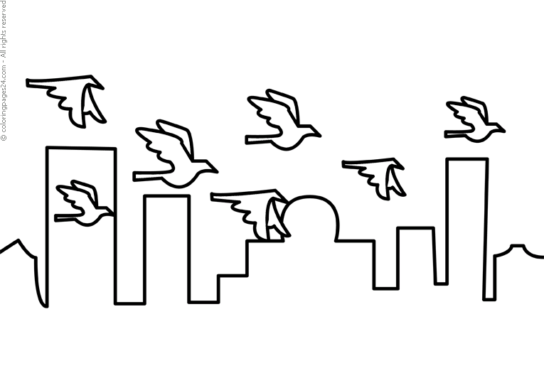 Birds 17