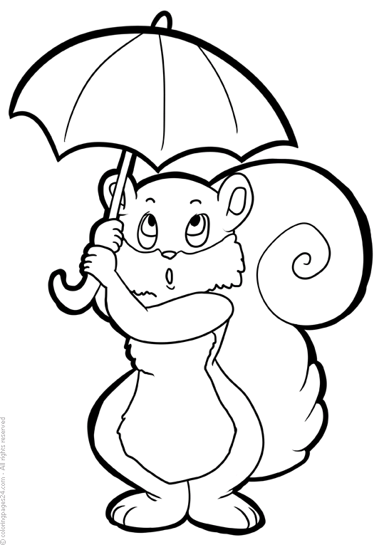 Squirrels 10